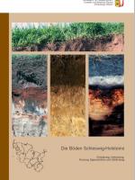 Cover-Bild Die Böden Schleswig-Holsteins