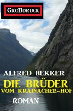 Cover-Bild Die Brüder vom Krainacher Hof: Roman. Großdruck Taschenbuch