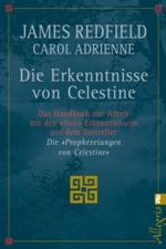 Cover-Bild Die Erkenntnisse von Celestine