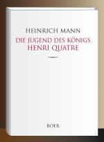 Cover-Bild Die Jugend des Königs Henri Quatre