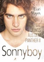 Cover-Bild Die Jungs aus dem Panther 2