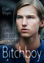 Cover-Bild Die Jungs aus dem Panther 3: Bitchboy