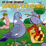 Cover-Bild Die kleine Schnecke Monika Häuschen - CD / 39: Warum gurren Tauben?