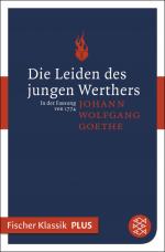 Cover-Bild Die Leiden des jungen Werthers