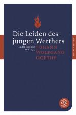 Cover-Bild Die Leiden des jungen Werthers