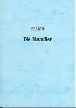 Cover-Bild Die Mandäer