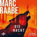 Cover-Bild Die Nacht (Art Mayer-Serie 3)