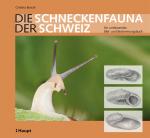 Cover-Bild Die Schneckenfauna der Schweiz