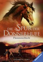 Cover-Bild Die Spur der Donnerhufe, Band 1: Flammenschlucht