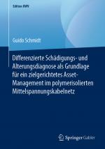 Cover-Bild Differenzierte Schädigungs- und Alterungsdiagnose als Grundlage für ein zielgerichtetes Asset-Management im polymerisolierten Mittelspannungskabelnetz