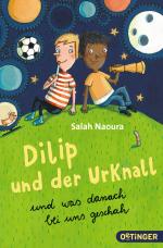 Cover-Bild Dilip und der Urknall