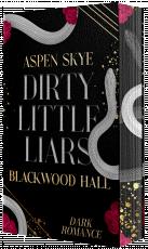 Cover-Bild Dirty Little Liars