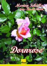 Cover-Bild Dornrose