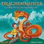 Cover-Bild Drachenmeister (1)