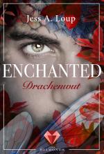 Cover-Bild Drachenwut (Enchanted 3)