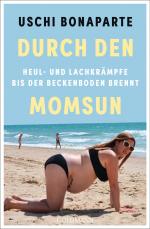 Cover-Bild Durch den Momsun