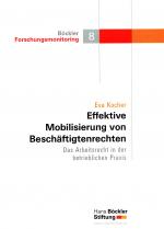 Cover-Bild Effektive Mobilisierung von Beschäftigtenrechten