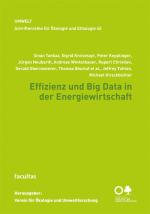 Cover-Bild Effizienz und Big Data in der Energiewirtschaft