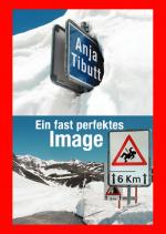 Cover-Bild Ein fast perfektes Image