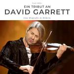 Cover-Bild Ein Tribut an David Garrett