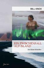 Cover-Bild EIN ZWISCHENFALL AUF ISLAND