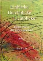 Cover-Bild Einblicke Durchblicke Lichtblicke