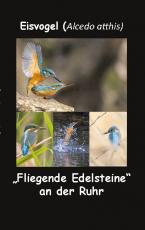 Cover-Bild Eisvogel (Alcedo atthis)