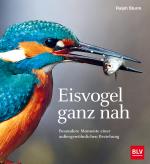 Cover-Bild Eisvogel ganz nah