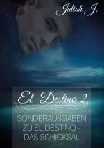Cover-Bild El Destino 2