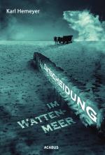 Cover-Bild Entscheidung im Wattenmeer