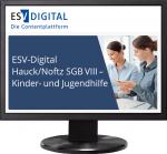 Cover-Bild ESV-Digital Hauck/Noftz SGB VIII - Kinder- und Jugendhilfe - Jahresabonnement