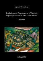 Cover-Bild Evolution and Development of Turtles