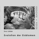 Cover-Bild Evolution der Eisblumen
