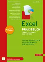 Cover-Bild Excel Praxisbuch für die Versionen 2010 und 2013