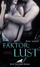 Cover-Bild Faktor: Lust | Erotische Geschichten