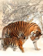 Cover-Bild Fantasy Notizbuch 14: Tiger im Schnee