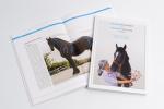 Cover-Bild Faszientherapie und Faszientraining für Pferde
