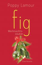 Cover-Bild fig – Weihnachtszauber