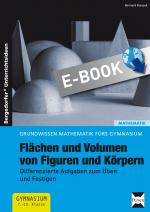 Cover-Bild Flächen und Volumen von Figuren und Körpern