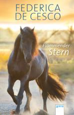 Cover-Bild Flammender Stern