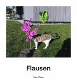 Cover-Bild Flausen