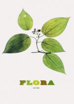 Cover-Bild Flora