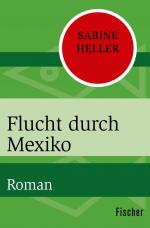 Cover-Bild Flucht durch Mexiko