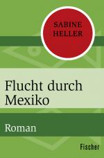 Cover-Bild Flucht durch Mexiko