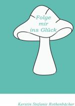 Cover-Bild Folge mir ins Glück