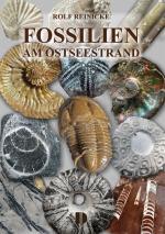 Cover-Bild Fossilien am Ostseestrand