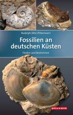 Cover-Bild Fossilien an deutschen Küsten