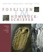 Cover-Bild Fossilien im Hunsrück-Schiefer