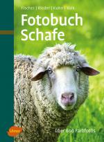 Cover-Bild Fotobuch Schafe
