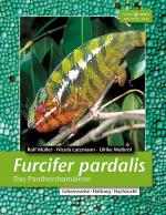 Cover-Bild Furcifer pardalis - Das Pantherchamäleon
